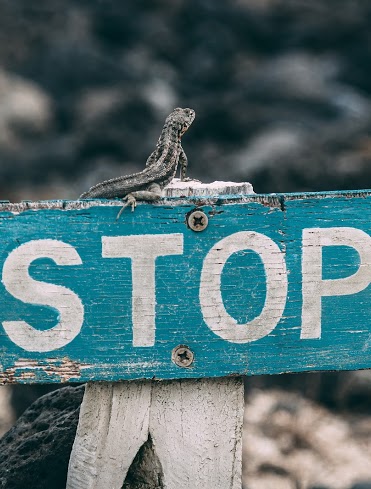 Read more about the article Stop before every action